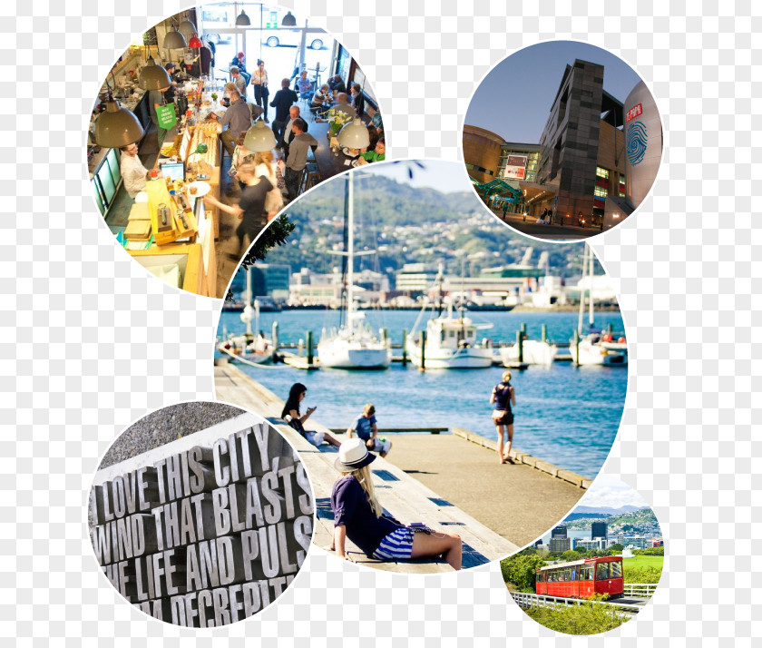 Vacation Leisure Plastic Collage PNG