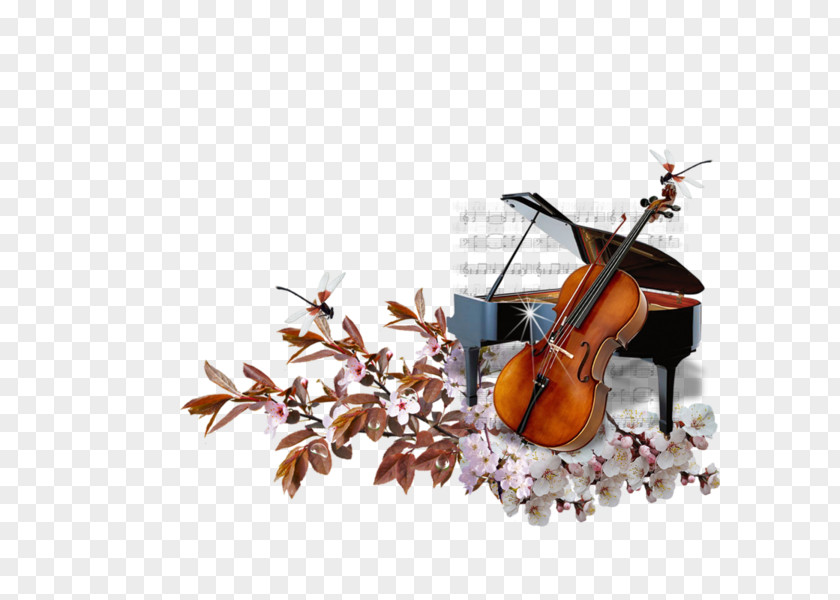 Blessing Day Cello Piano Violin Musical Instruments PNG