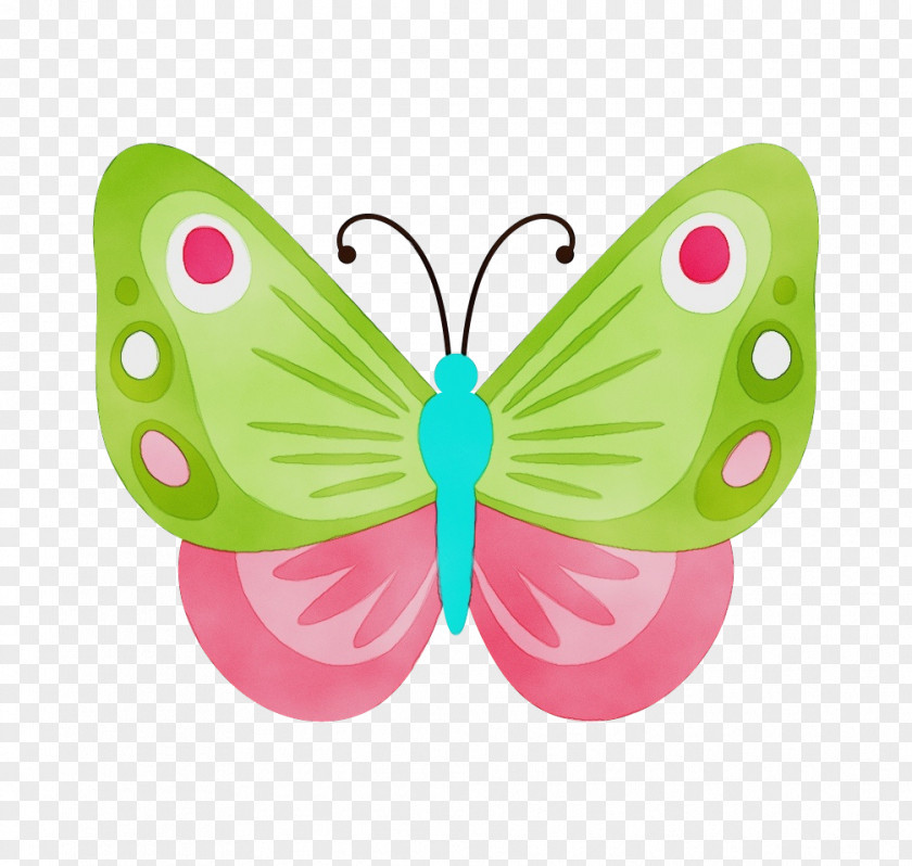 Butterfly Insect Pink Wing Moths And Butterflies PNG