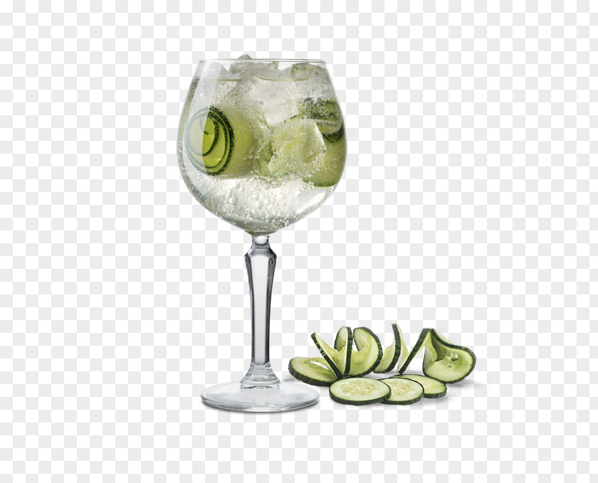 Cocktail Gin And Tonic Gimlet Garnish Rickey Caipirinha PNG