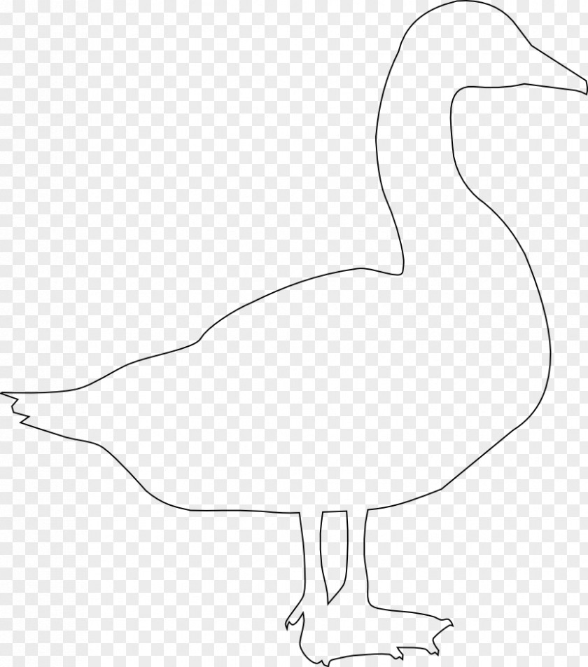 Goose Duck Bird Stencil Anatidae PNG
