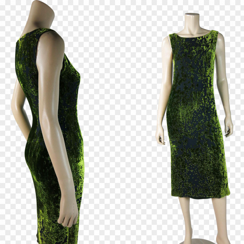 Irish Moss Organic Cocktail Dress Velvet Chiffon Lace PNG