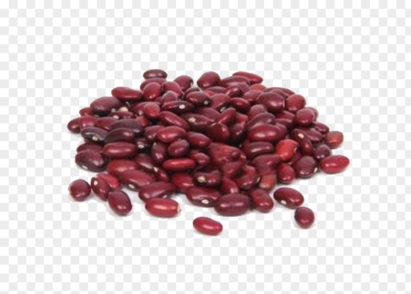 Kidney Beans PNG beans clipart PNG