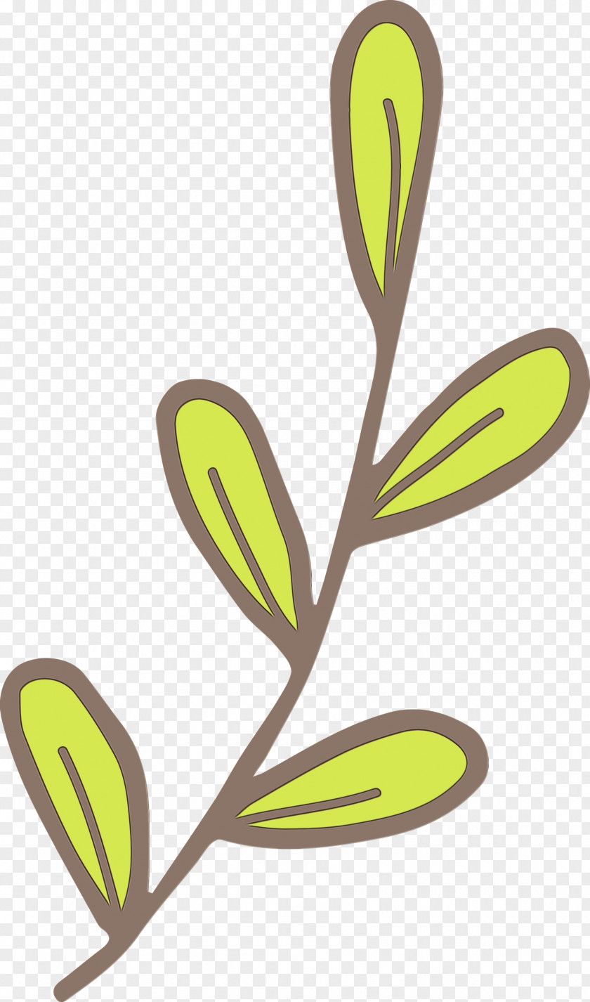 Leaf Plant Stem Yellow Flower Line PNG