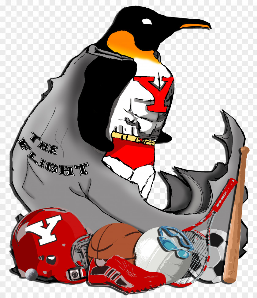 Penguin Clip Art Illustration Beak Character PNG