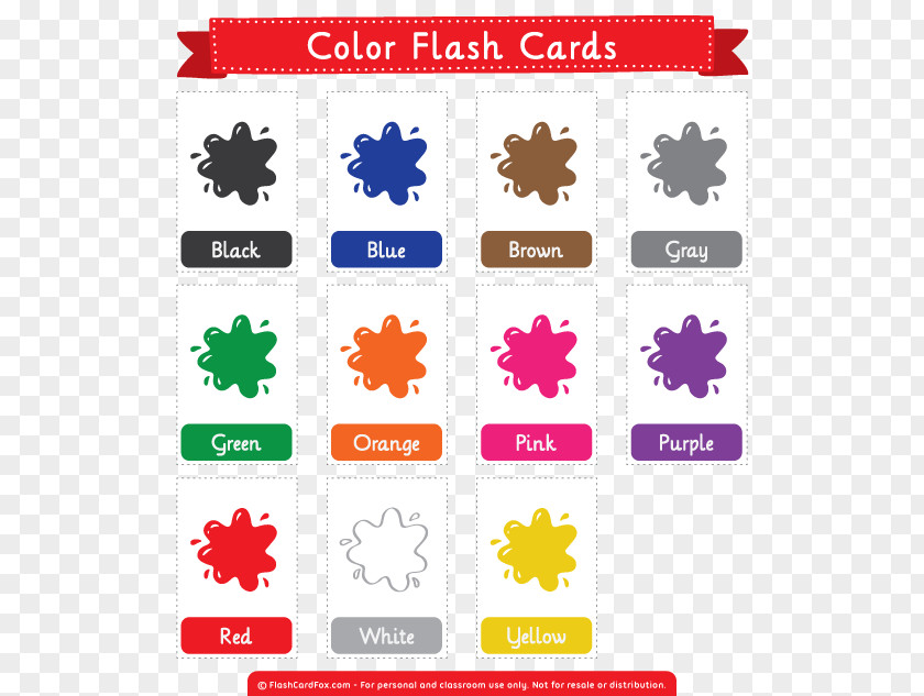 Teacher Flashcard Learning English Vocabulary PNG