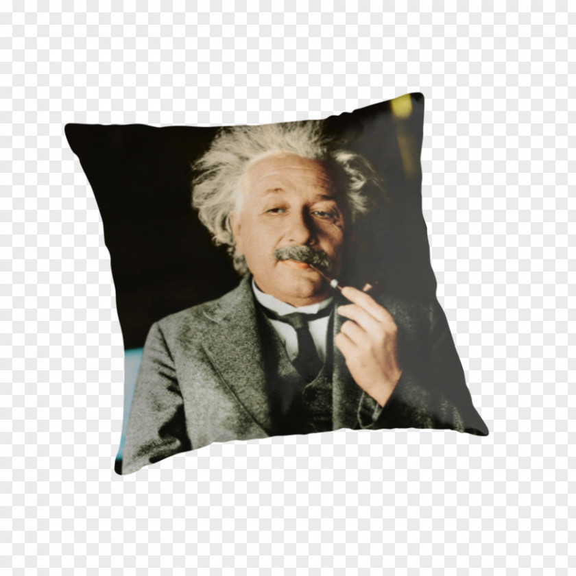 Albert Einstein If You Want To Live A Happy Life, Tie It Goal, Not People Or Things. Cushion Zebra Puzzle Throw Pillows PNG
