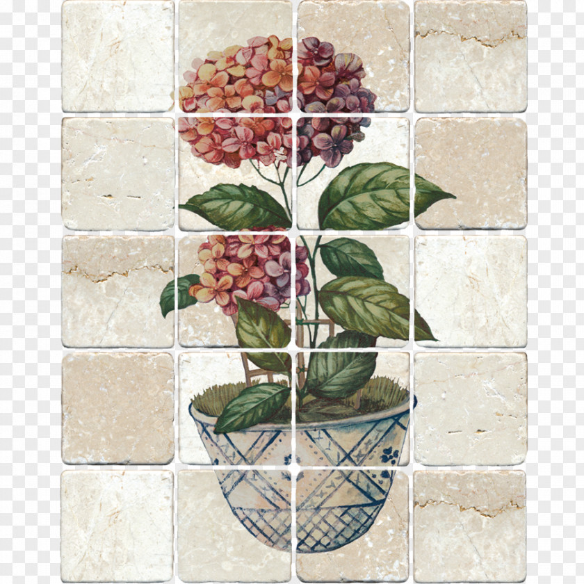 Flower Flowerpot Window Houseplant Wallpaper PNG