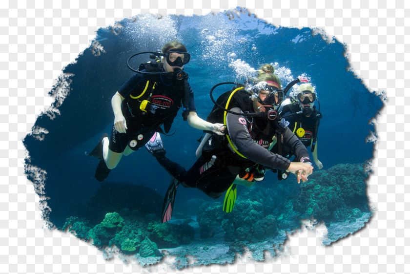 PADI Discover Scuba Diving Dry Suit Divemaster Underwater PNG