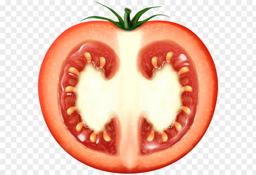 Tomato Paste Juice Ketchup PNG