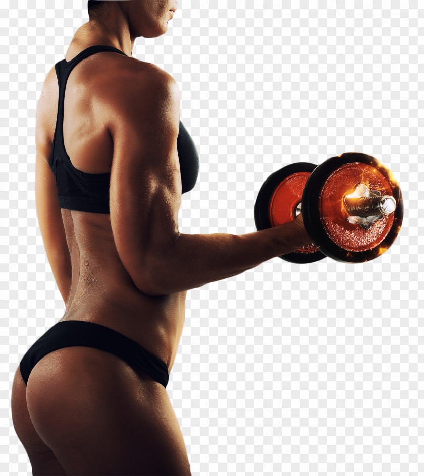 Dumbbell Physical Fitness Exercise Bodybuilding Weight Training PNG