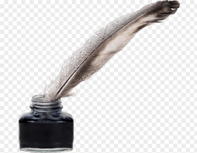 Feather Paper Quill Pens Inkwell Fountain Pen PNG