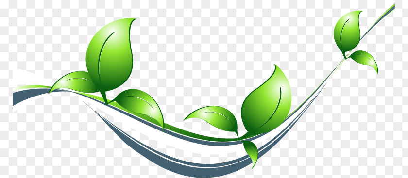Green Divider Desktop Wallpaper Image Ecology Ecodesign PNG