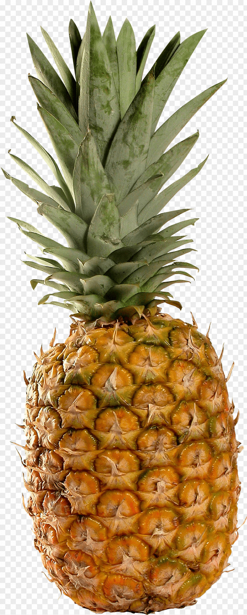 Pineapple Image Download Piña Colada Juice Smoothie Granita PNG