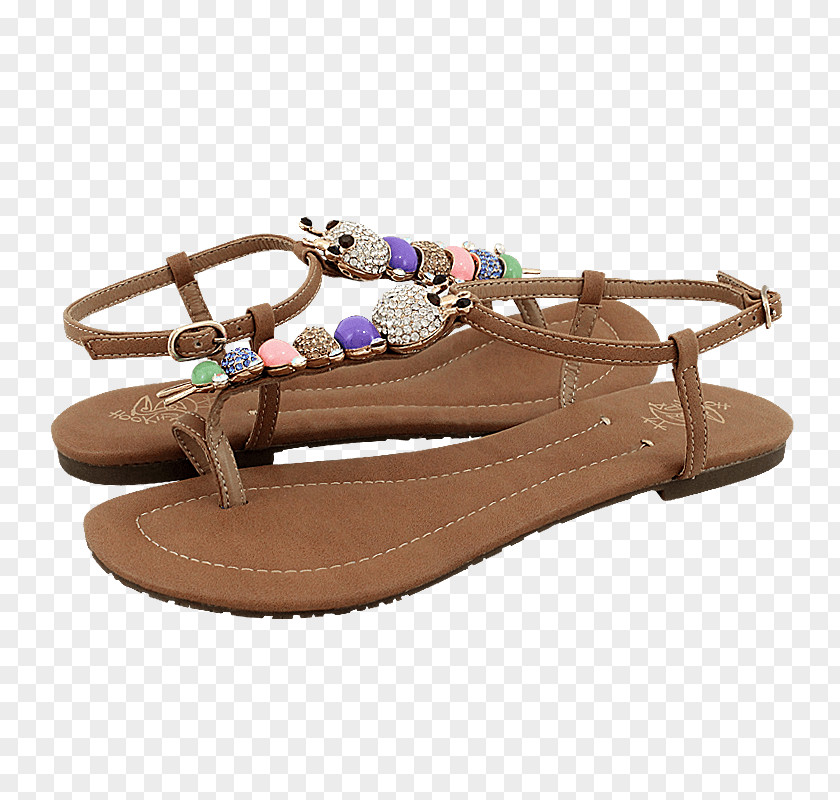 Sandal Flip-flops Slide Shoe Walking PNG