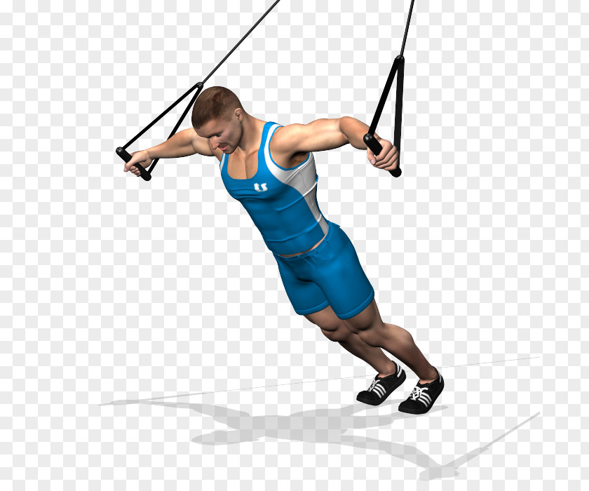 Suspension Training Exercise Physical Fitness Weight Functional PNG