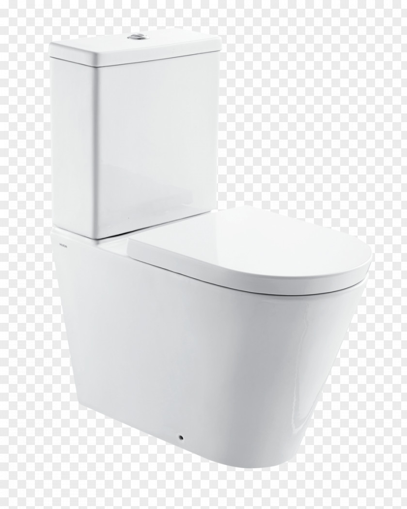 Toilet Flush Squat Bathroom Roca Plumbing Fixtures PNG
