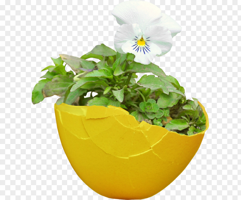 Flower Flowerpot Tulip Clip Art PNG