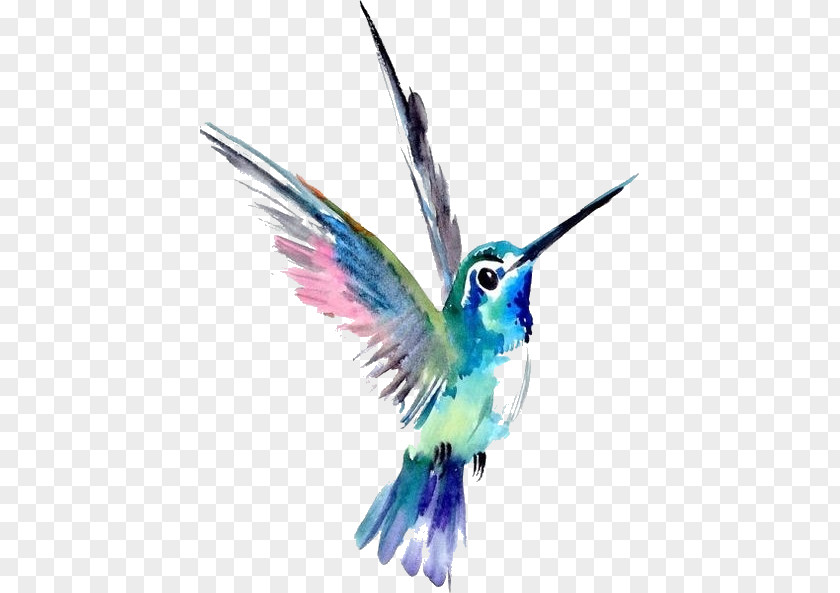 Hummingbird Tattoo Watercolor Painting Art Drawing PNG