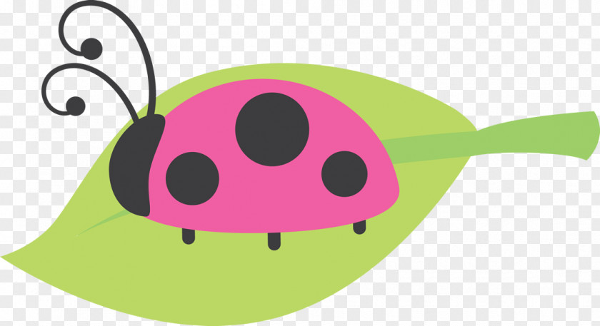 Ladybird Beetle Birthday Clip Art PNG