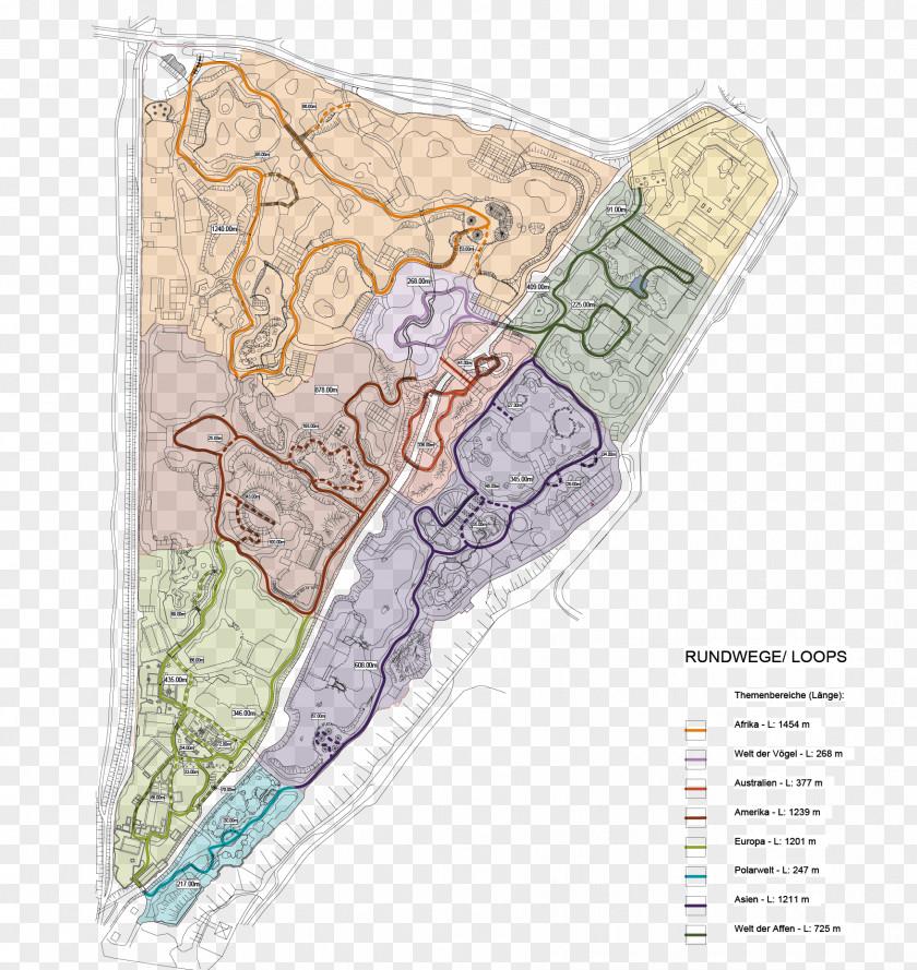 Master Plan Map Organism PNG