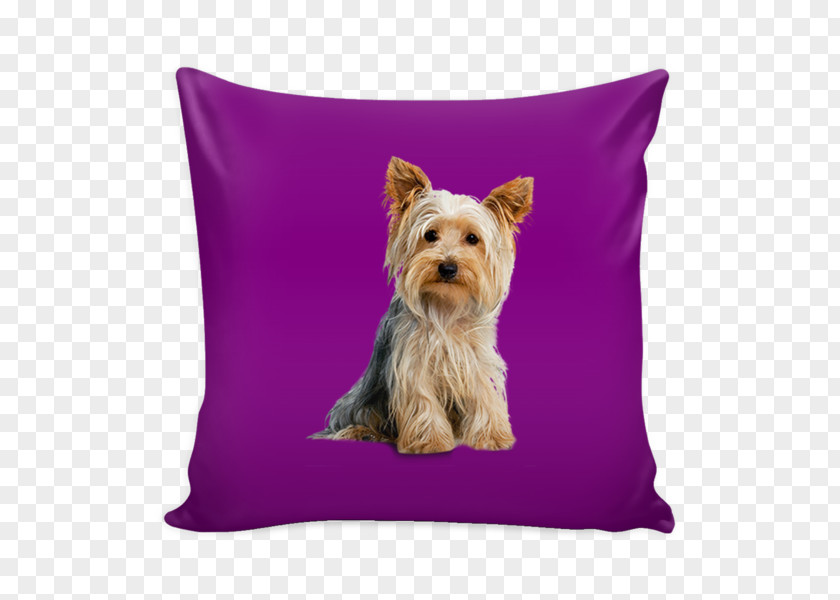 Pawpaw Yorkshire Terrier Bichon Frise Boston Pillow Cairn PNG