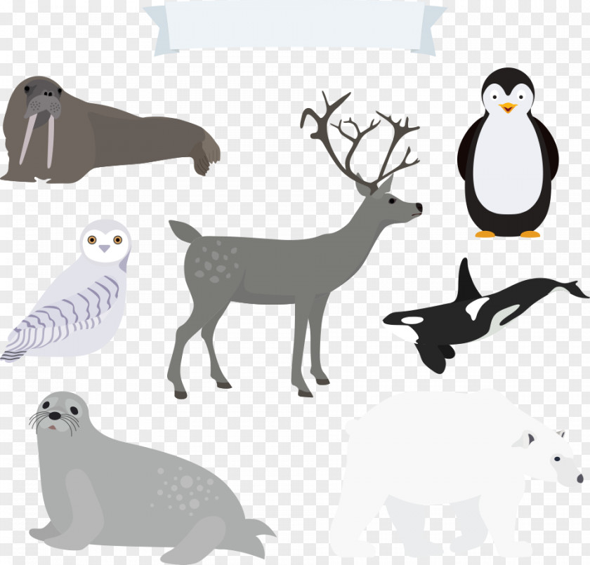 Vector Polar Bear And Birds Euclidean North Pole Download PNG