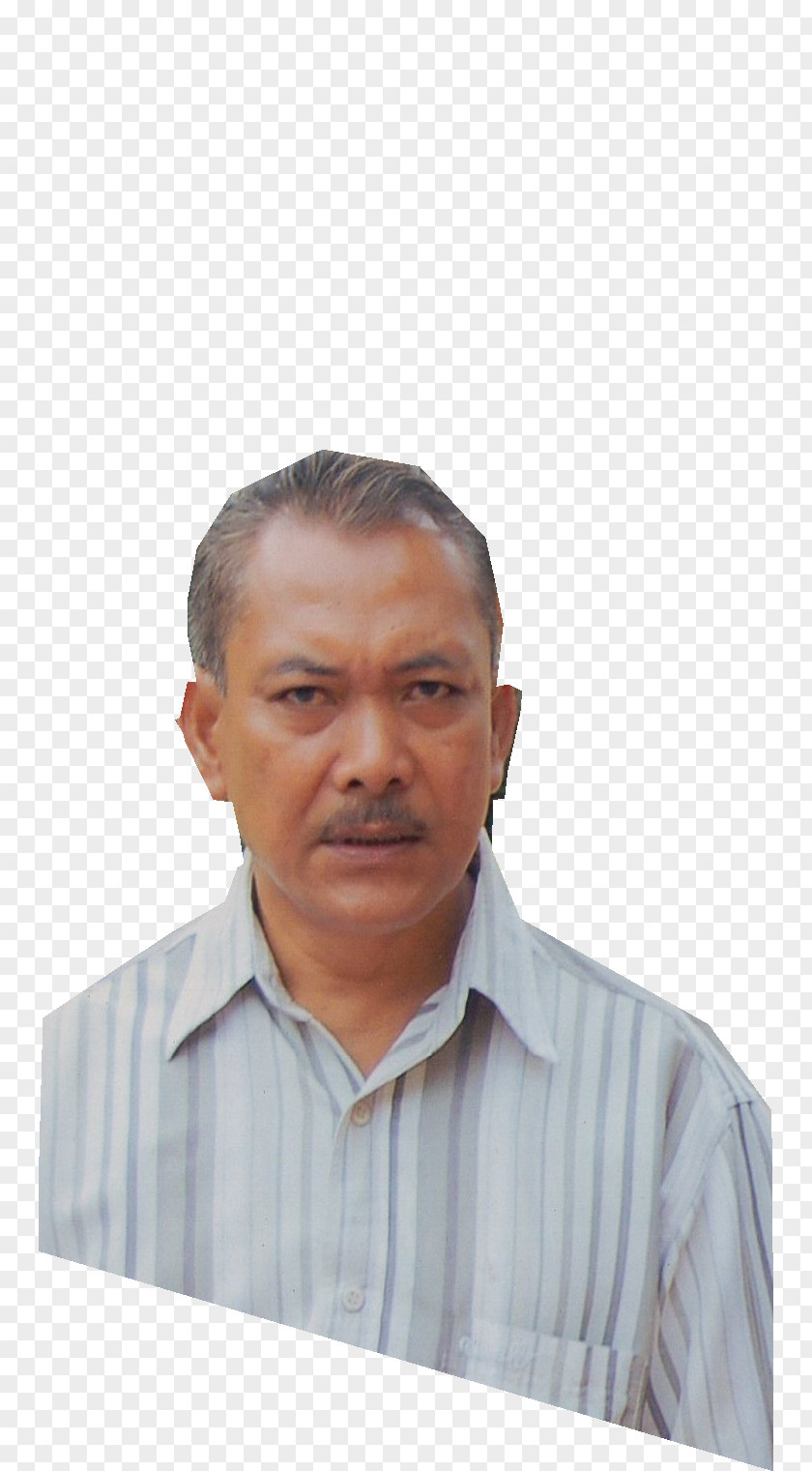 Asahan Regency Mangrove Journalist Forest News PNG