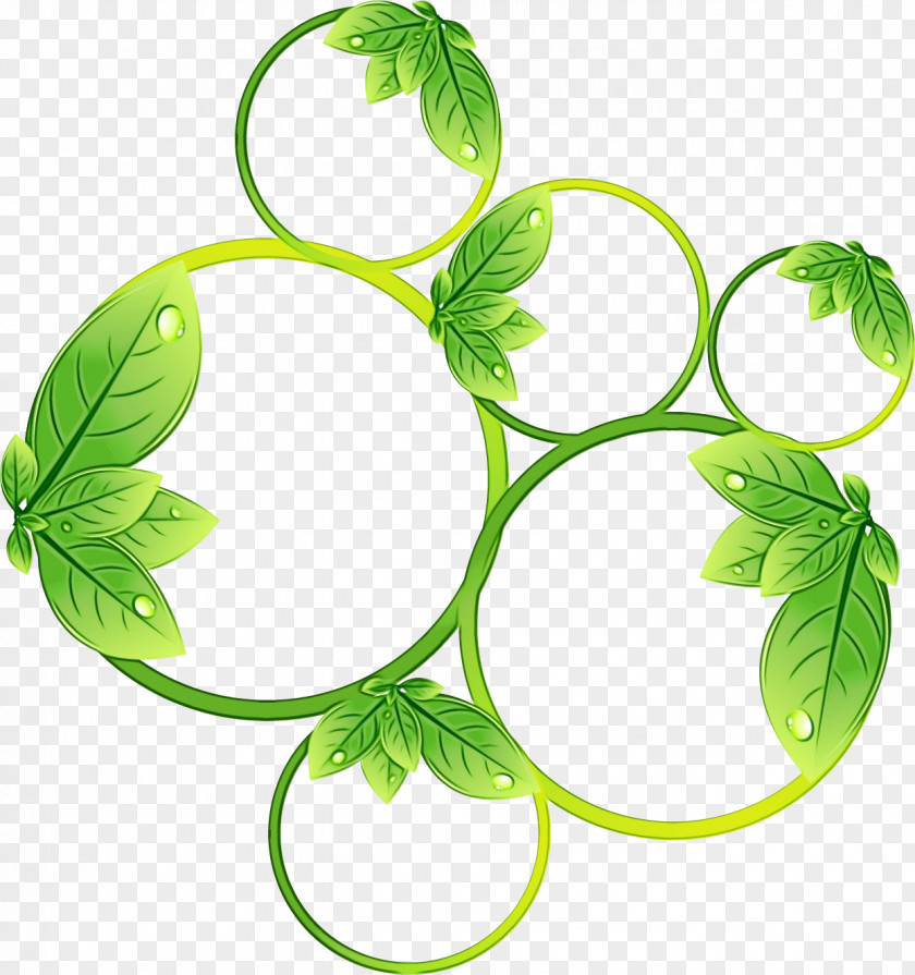 Flower Plant India Background PNG