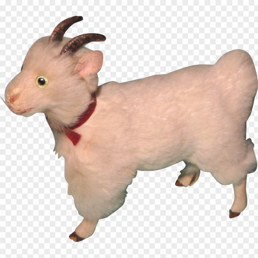 Goat Sheep Snout PNG