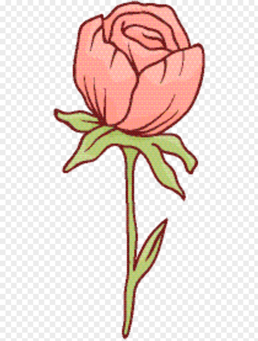Herbaceous Plant Wildflower Pink Flower Cartoon PNG