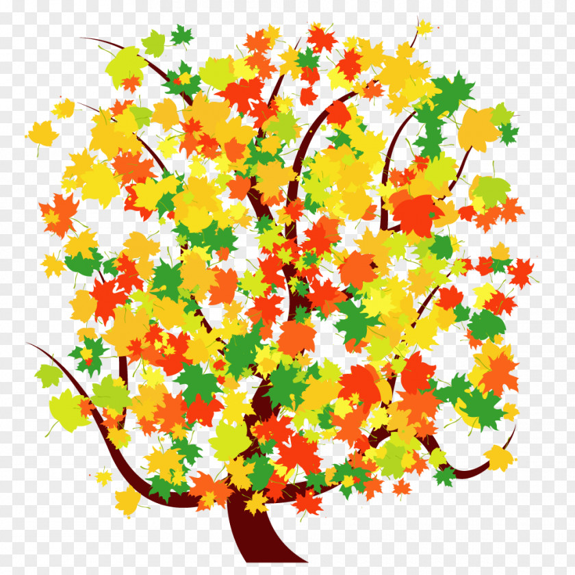 Maple Tree Vector Material PNG