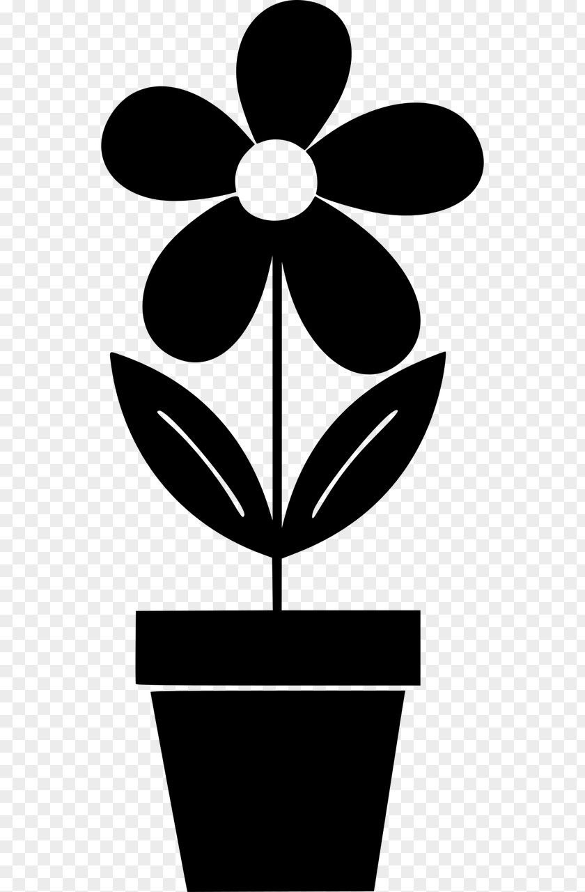 Potted Clipart Flowerpot Houseplant PNG