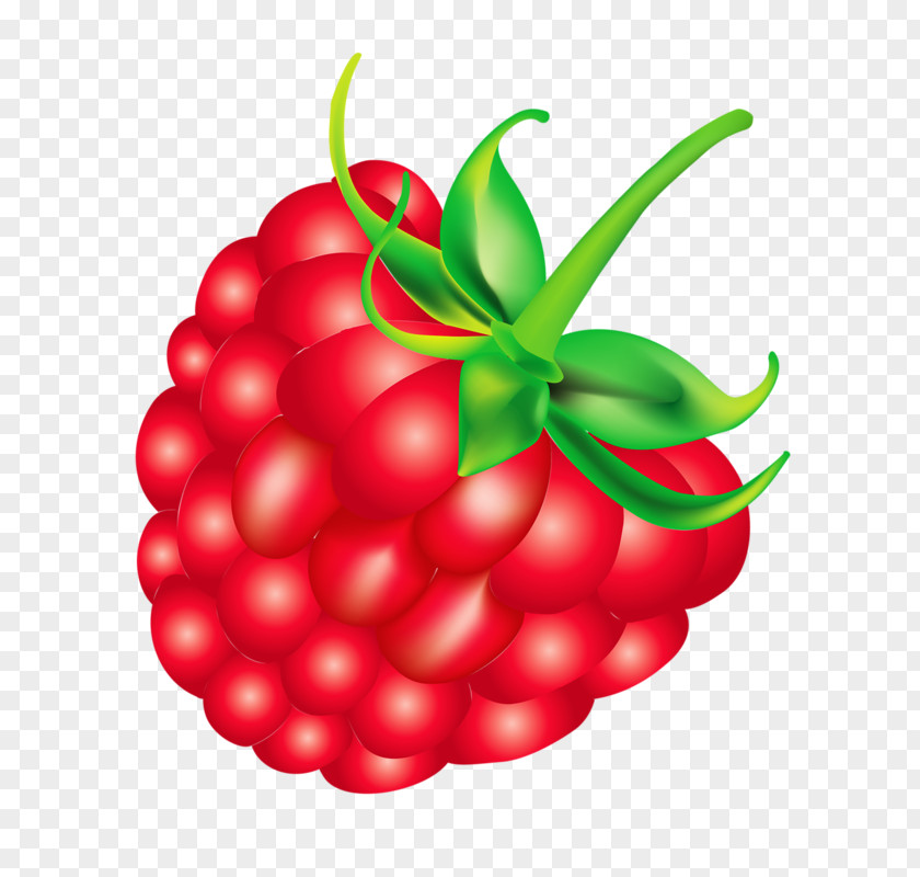 Raspberry Frutti Di Bosco Fruit Salad Clip Art PNG