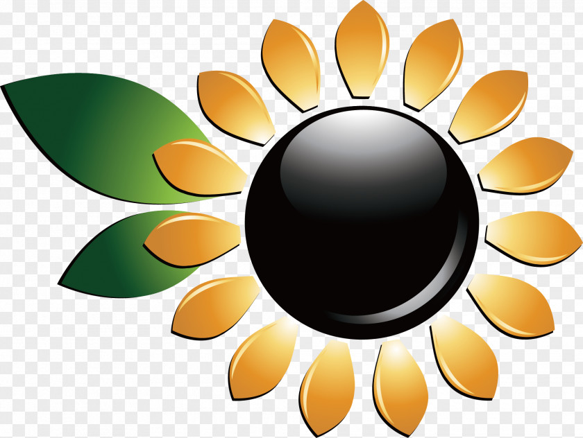 Sunflower Vector Adobe Illustrator Flower Clip Art PNG