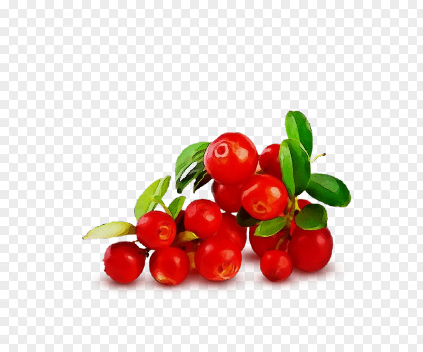 Acerola Cherry Fruit Berry Plant Lingonberry Food PNG