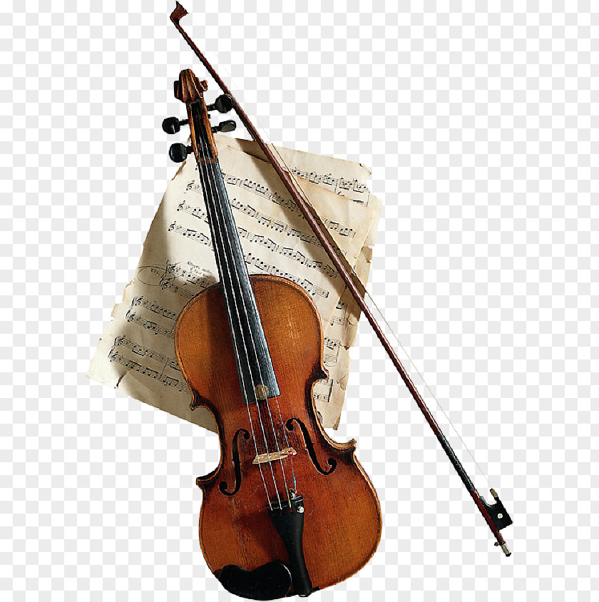 Bow Music: An Appreciation Violin Meaning PNG