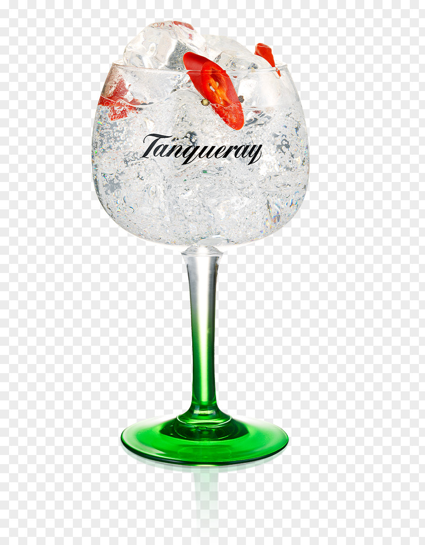 Cocktail Gin And Tonic Wine Glass Garnish Tanqueray Water PNG