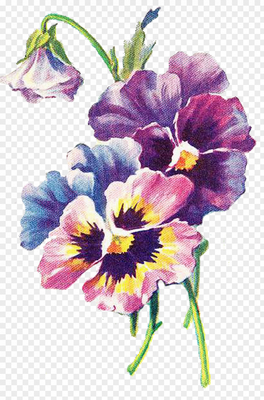 Design Floral Art Pansy Decoupage PNG