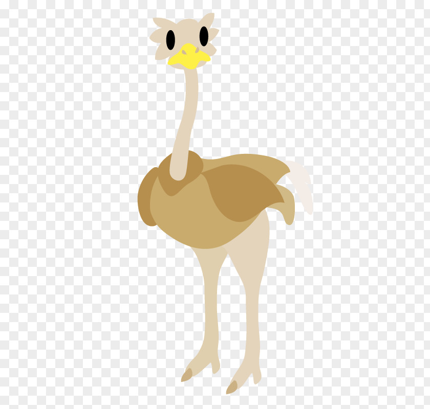 Giraffe Common Ostrich Chicken Illustration Bird PNG
