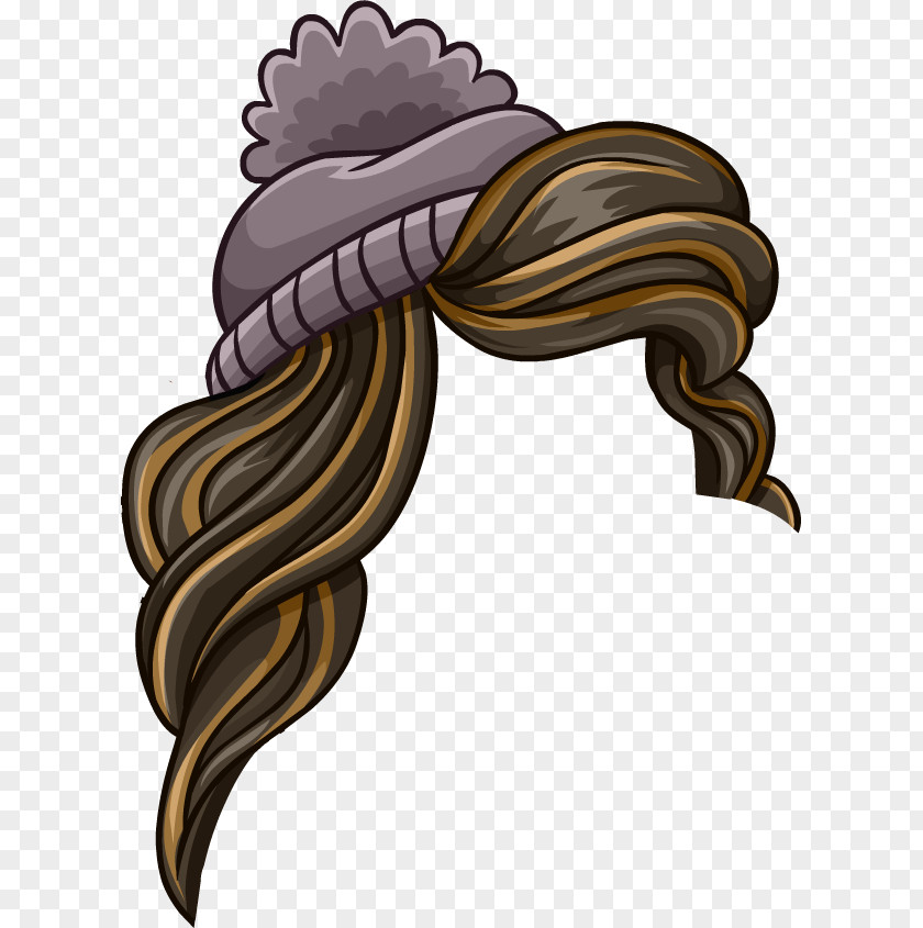 Penguin Club Island Hair Image PNG