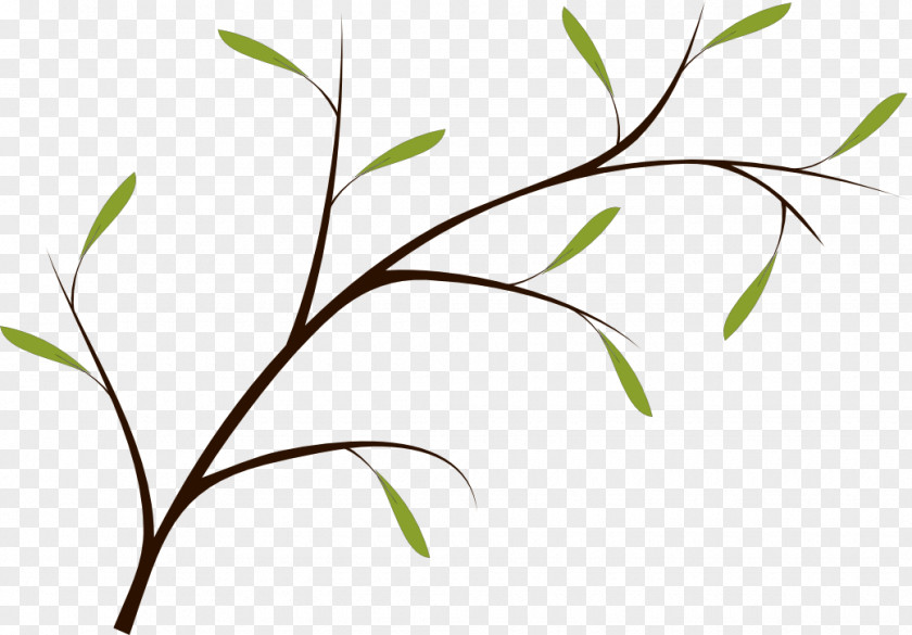 Twig Inkscape Plant Stem Clip Art PNG