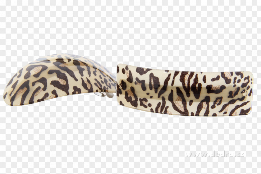 Gepard Carnivora PNG