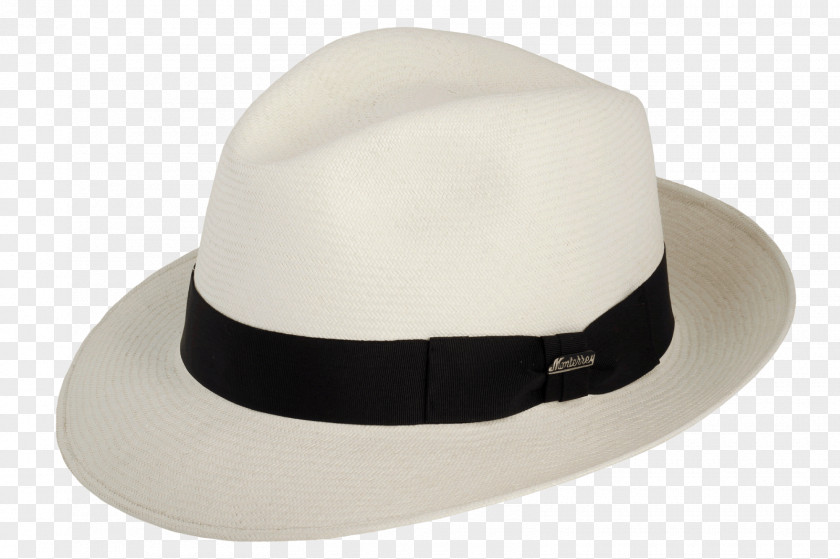 Hat Panama Fedora Homburg Trilby PNG
