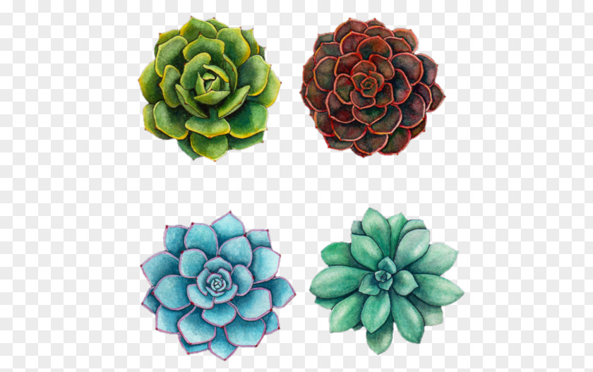 Painting Watercolor Succulent Plant Art Drawing PNG