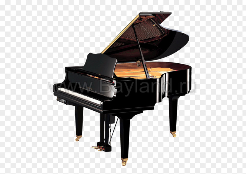 Piano Grand Yamaha Corporation Disklavier Bösendorfer PNG