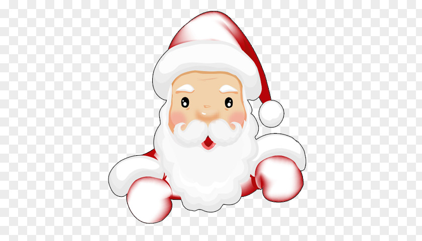 Santa Claus Beard PNG