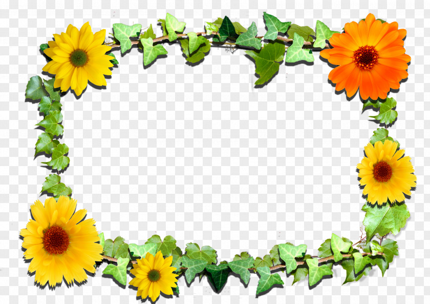 Sunflower Leaf Picture Frames Flower Clip Art PNG