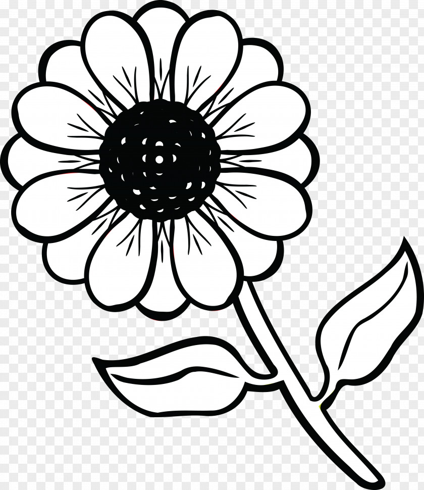 Child Coloring Book Drawing Wildflower Clip Art PNG