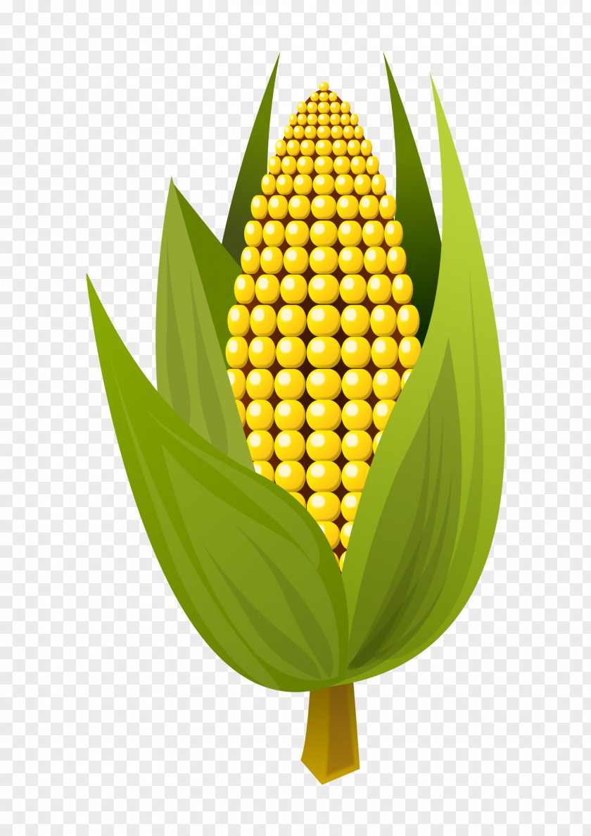 Corn On The Cob Maize Clip Art PNG